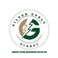 Silver eVolt Global Limited logo - Similar company to Customer Centric Kenya