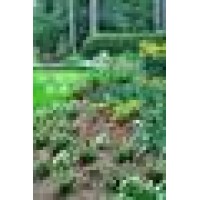 Shuff Landscape Svc