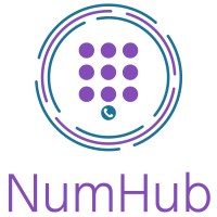 NumHub logo - Similar company to Secrecy Evolution