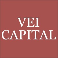 VEI Capital logo - Similar company to Pfh Palladio Holding