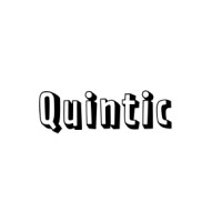 Quintic logo - Similar company to Quintic Ai