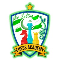 Mir Sultan Chess Academy logo - Similar company to Bishop Chess Academy