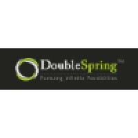 DoubleSpring Media logo - Similar company to Teamwave