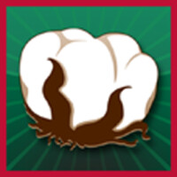 The Cottonport Bank logo - Similar company to Alpha Process Sales Inc