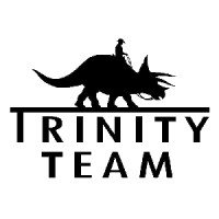 Trinity Team logo - Similar company to Dramatic Iceberg