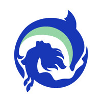 Designfins Studio logo - Similar company to Be Stories