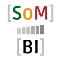 SoMBI Data logo - Similar company to Reccura