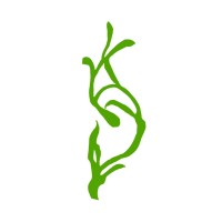 Jc Landscape Designs, Llc