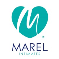 Marel de México S.A. de C.V. logo - Similar company to Intimark