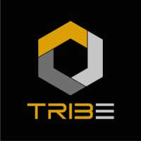 Tribe Belfast logo - Similar company to Arenagym