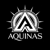 Aquinas Academy logo - Similar company to Catalyst Tags, Eas Security & Retail Rfid Solutions