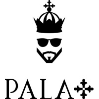 PalaPlus logo - Similar company to Ampconsulting.It