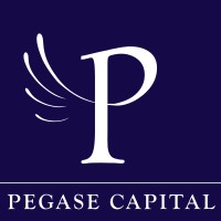 Pegase Capital logo - Similar company to Nat Systems