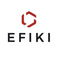 Efiki Partners logo - Similar company to Globauto - Comércio Internacional, Lda