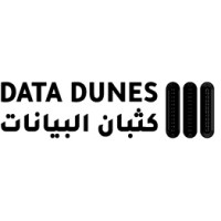 DATA DUNES logo - Similar company to Power Data