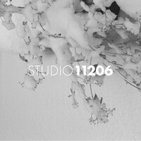 STUDIO11206 logo - Similar company to Viajiyu
