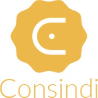 Consindi logo - Similar company to D-Iot S.R.L.