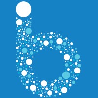 BlueIron logo - Similar company to Blue Iron, Inc.