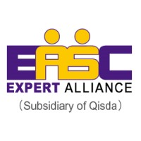 Expert Alliance Systems & Consultancy (HK) Company Limited logo - Similar company to Skybotics Technology Limited