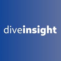 DiveInsight logo - Similar company to Techbloomz