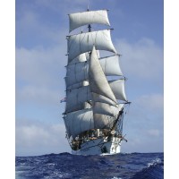 Barque Picton Castle logo - Similar company to Ecoclipper