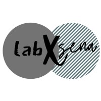 labXsena HQ logo - Similar company to Sl Tech Erp Solution