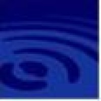 Blue Pool Capital logo - Similar company to Greran Group