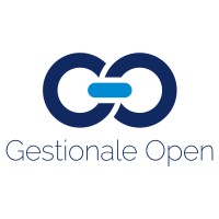 GESTIONALE OPEN SRL logo - Similar company to Web4You - Web Agency
