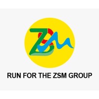 ZSM INTERNATIONAL logo - Similar company to Global Softel, Inc.