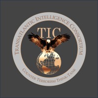 Transatlantic Intelligence Consortium logo - Similar company to Soco 1932