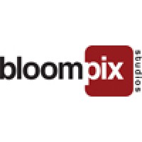 Bloompix Studios logo - Similar company to Squirrel Bytes
