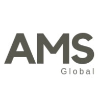 AMSGlobal logo - Similar company to Amityfin