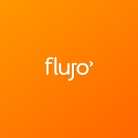 flujo logo - Similar company to Go-Productivity