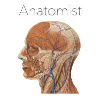 Anatomist logo - Similar company to Kenhub
