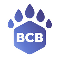 BC Biocarbon logo - Similar company to Aries Clean Technologies