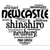 NEWCASTLES OF THE WORLD logo - Similar company to Centre For Turkey Studies (Ceftus)