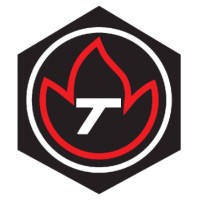 Tecnoservice Engineering SA logo - Similar company to Oro Technologies Sa
