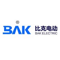 BAK Electric Vehicle Manufacturing Co., Ltd. logo - Similar company to Foundgate Solutions Services