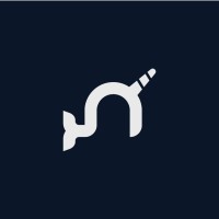 Narwhal HR logo - Similar company to J.N. Solutions