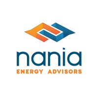 Nania Energy Advisors logo - Similar company to Practical Energy Solutions