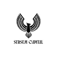 Sursum Capital logo - Similar company to Rest Hosting Ab