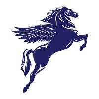 Pegaso Energy Services, LLC logo - Similar company to Sendero Flow Control