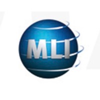Market Leader Investments logo - Similar company to Lapo Blockchain Ag