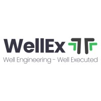 WellEx Engineering logo - Similar company to Well Engineering Group
