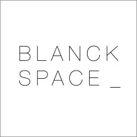 Blanck Space logo - Similar company to Blank Space Strategy
