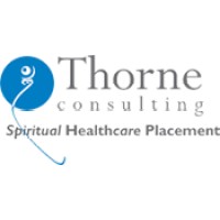 Thorne Consulting logo - Similar company to Thorne Technology