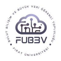 FUB3V logo - Similar company to Transleyt