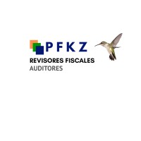 AUDITORIA Y ASESORIA PFKZ logo - Similar company to Altrio Consulting