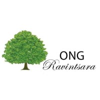 ONG RAVINTSARA logo - Similar company to Ong Ketsa