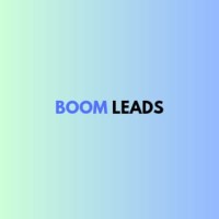 Boom Leads logo - Similar company to Tess.Inc
